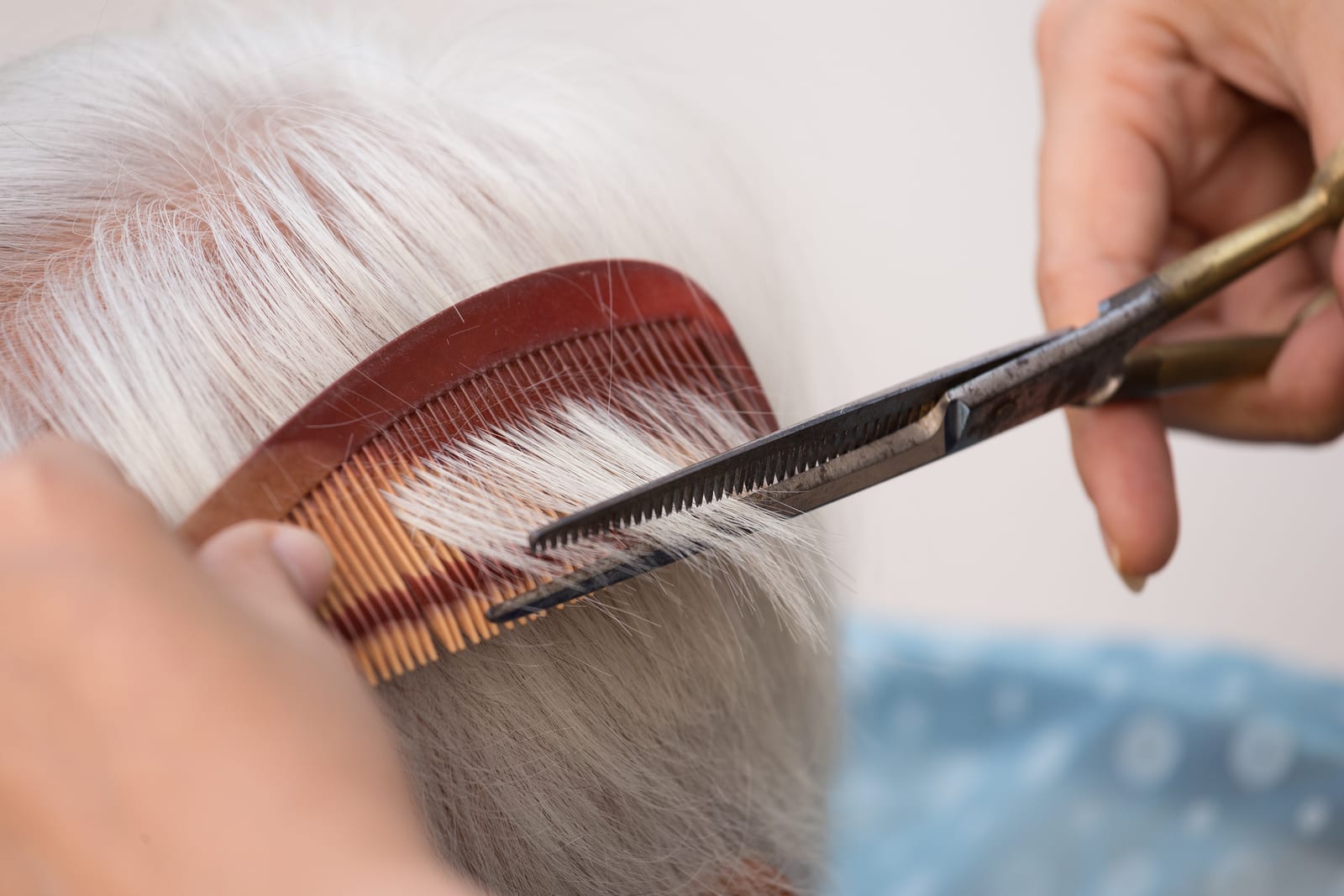 Hair stylist cutting senior woman's gray hair ** Note: Shallow depth of field