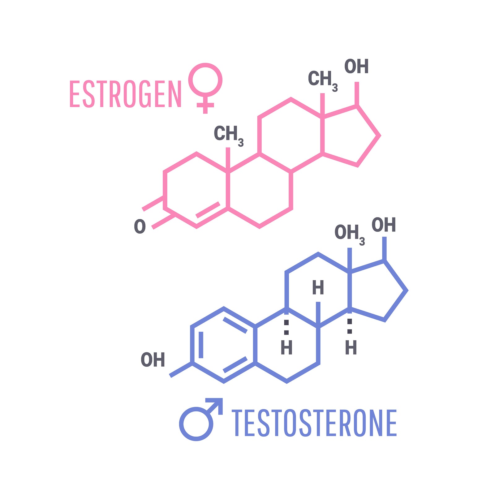 Sex hormones molecular formula: Estrogen and Testosterone Hormones symbol